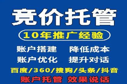 SEM服务公司助力电商增长案例